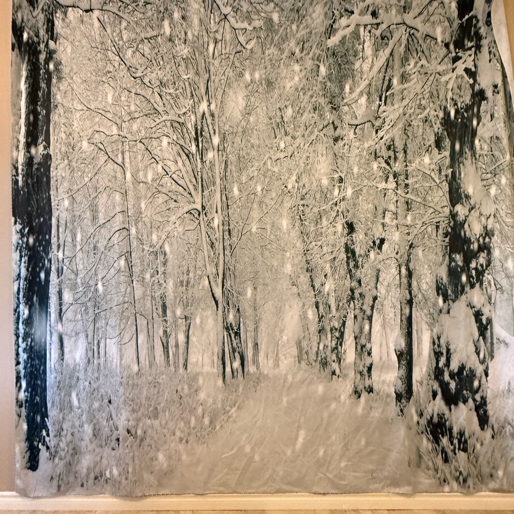Winter Wonderland Photography Kate Backdrop